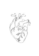 Heart Anatomy Line Art | Crie seu próprio pôster