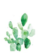 Cactus Watercolor Art | Crie seu próprio pôster