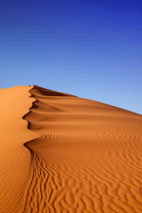 Sand Dunes In Sahara Desert