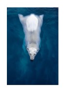 Swimming Polar Bear | Crie seu próprio pôster