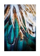 Colorful Feathers | Crie seu próprio pôster
