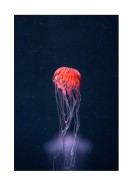 Vibrant Jellyfish In The Ocean | Crie seu próprio pôster