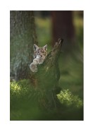 Wild Lynx In Nature | Crie seu próprio pôster