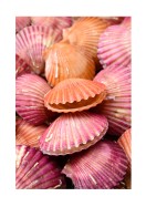 Pink Sea Shells | Crie seu próprio pôster