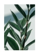 Green Plant Close-up | Crie seu próprio pôster