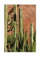 Cactus Plant In The Sun | Crie seu próprio pôster