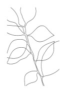 Botanical Line Art | Crie seu próprio pôster